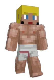 Neifnad Minecraft avatar full body