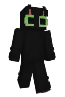 Nein16 Minecraft avatar full body