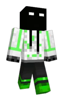 Neivi Minecraft avatar full body