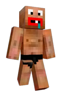 Nejcotka Minecraft avatar full body