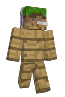 Nekoakachan Minecraft avatar full body
