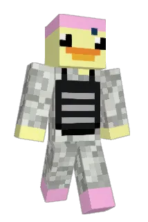 Nellachicken Minecraft avatar full body