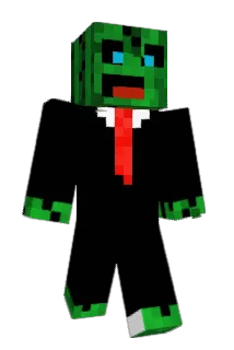 Nelliholzner Minecraft avatar full body