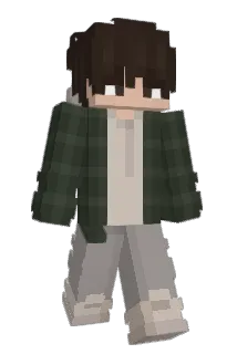 Minecraft-Avatar von Nello: ganzer Körper