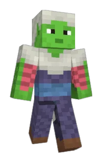Nelror Minecraft avatar full body