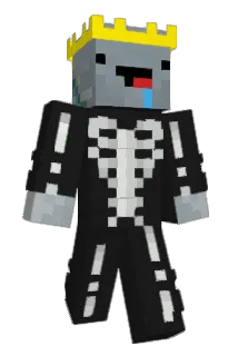 Nels1to Minecraft avatar full body