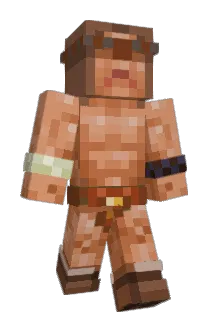Nelwin16 Minecraft avatar full body