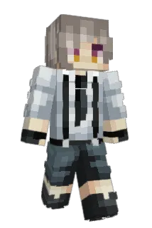 Neplojin Minecraft avatar full body