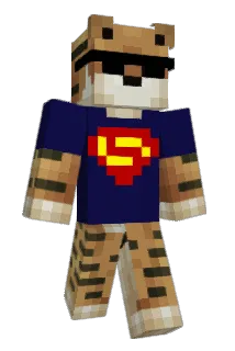 Neradnik Minecraft avatar full body