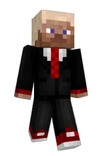NerbeisXD Minecraft avatar full body