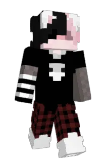 NerdDerp Minecraft avatar full body