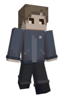 NerdIsland Minecraft avatar full body