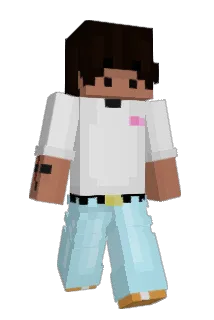 NesStorr Minecraft avatar full body