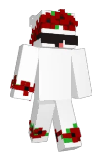 NessaxD Minecraft avatar full body