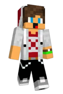 NetFX Minecraft avatar full body