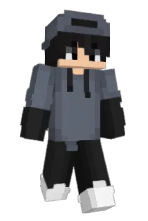 NetMc_ Minecraft avatar full body