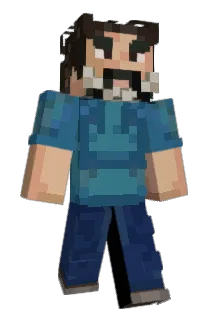 NetWt12Oz Minecraft avatar full body