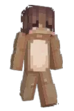 Netelo Minecraft avatar full body