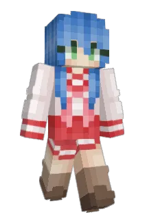 Netfitz Minecraft avatar full body