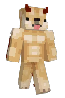 Netheritepro656 Minecraft avatar full body