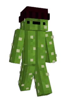 Neto_kkjk Minecraft avatar full body