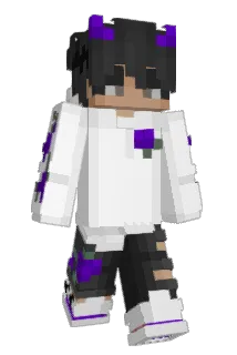 Netolice Minecraft avatar full body