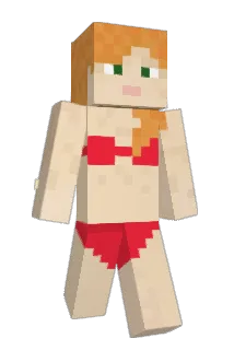 Netshaf Minecraft avatar full body