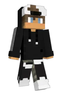 NetworkStop Minecraft avatar full body