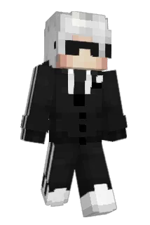 Neutrovertido Minecraft avatar full body