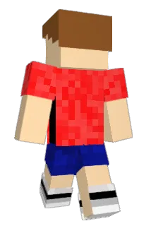 NeverDude Minecraft avatar full body
