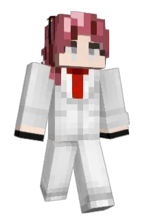 Nevermine_ Minecraft avatar full body