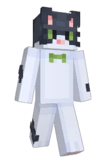 NewPlayer Minecraft avatar full body