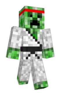 New_Times Minecraft avatar full body