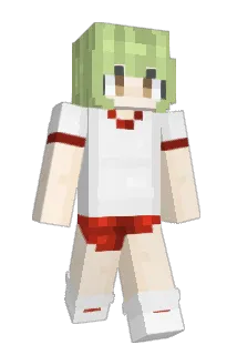 NewbieCatcher Minecraft avatar full body