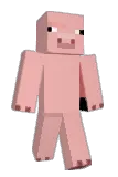 NewfieSwag Minecraft avatar full body