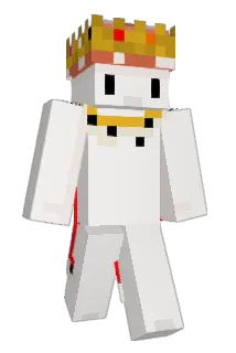 NextGyn Minecraft avatar full body