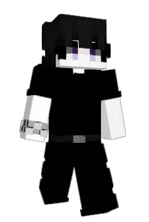 Next_Exclusive Minecraft avatar full body