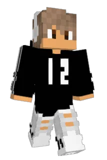 Nextra06 Minecraft avatar full body