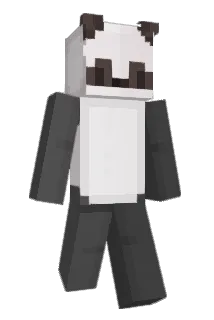 Nezzquik Minecraft avatar full body
