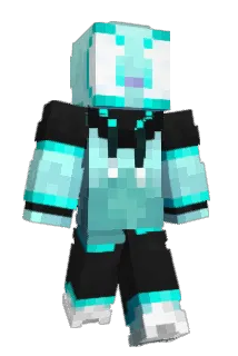 Ng295 Minecraft avatar full body