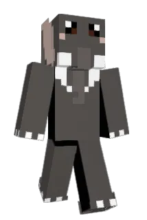 NgTakesOffSkin Minecraft avatar full body