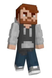 NiD213 Minecraft avatar full body