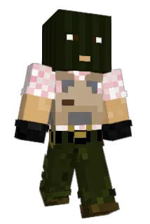 NiNit Minecraft avatar full body