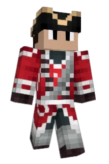NiY4Life Minecraft avatar full body