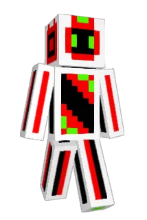 NiamPlayz Minecraft avatar full body
