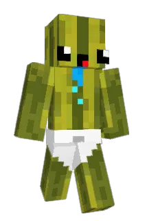 Nibby9999 Minecraft avatar full body