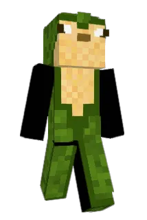 NicNnac Minecraft avatar full body