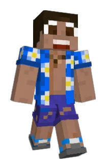 Nic_Hubi Minecraft avatar full body