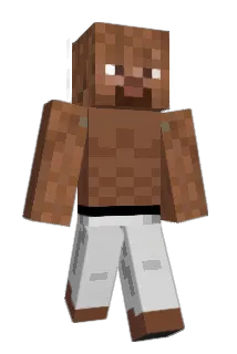 Niccoli Minecraft avatar full body