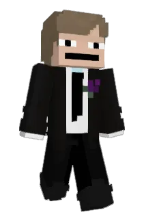 Nicedin Minecraft avatar full body